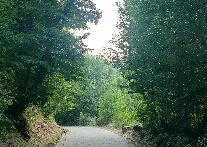 La Cerra -tiny-house *